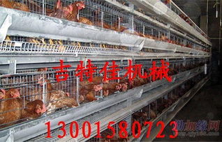 吉特佳山東雞籠廠 專注蛋雞籠與數(shù)控機(jī)床銷售的服務(wù)商